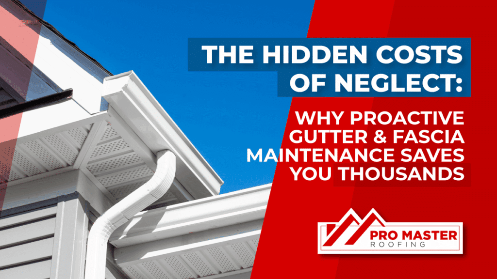 Gutter & Fascia Maintenance